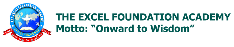 the excel foundation academy